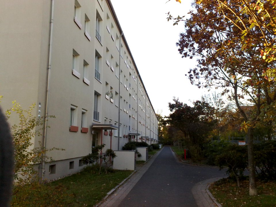 2020-11-07 Altstriesen, Dresden 04