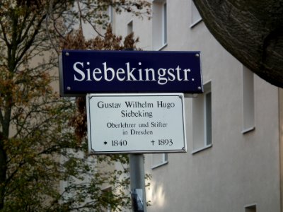 2020-11-14 Siebekingstraße, Dresden 06