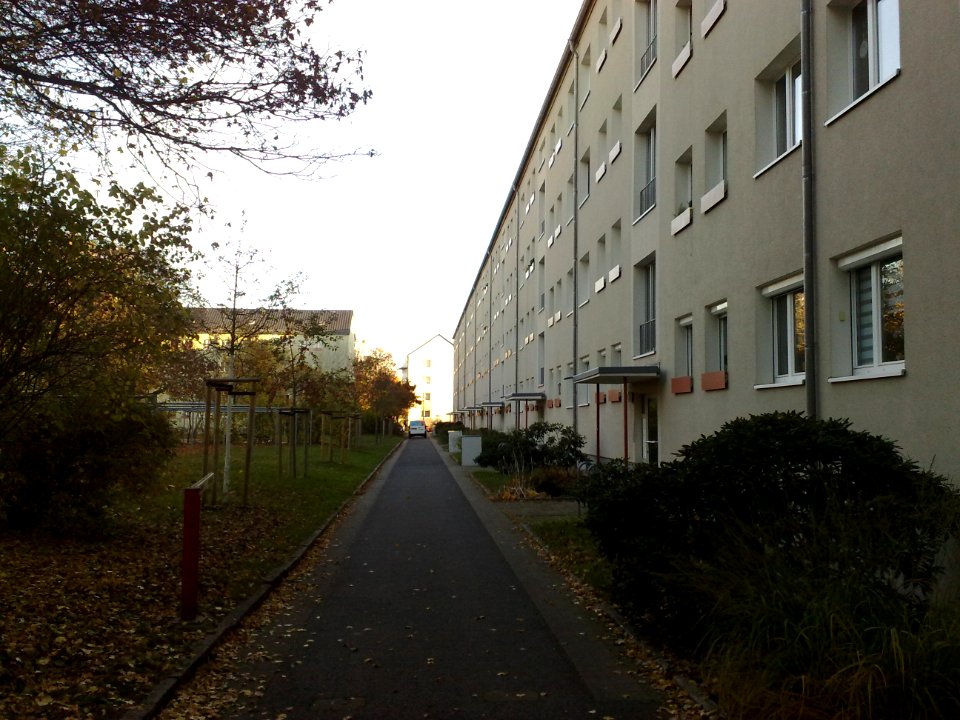 2020-11-07 Altstriesen, Dresden 01