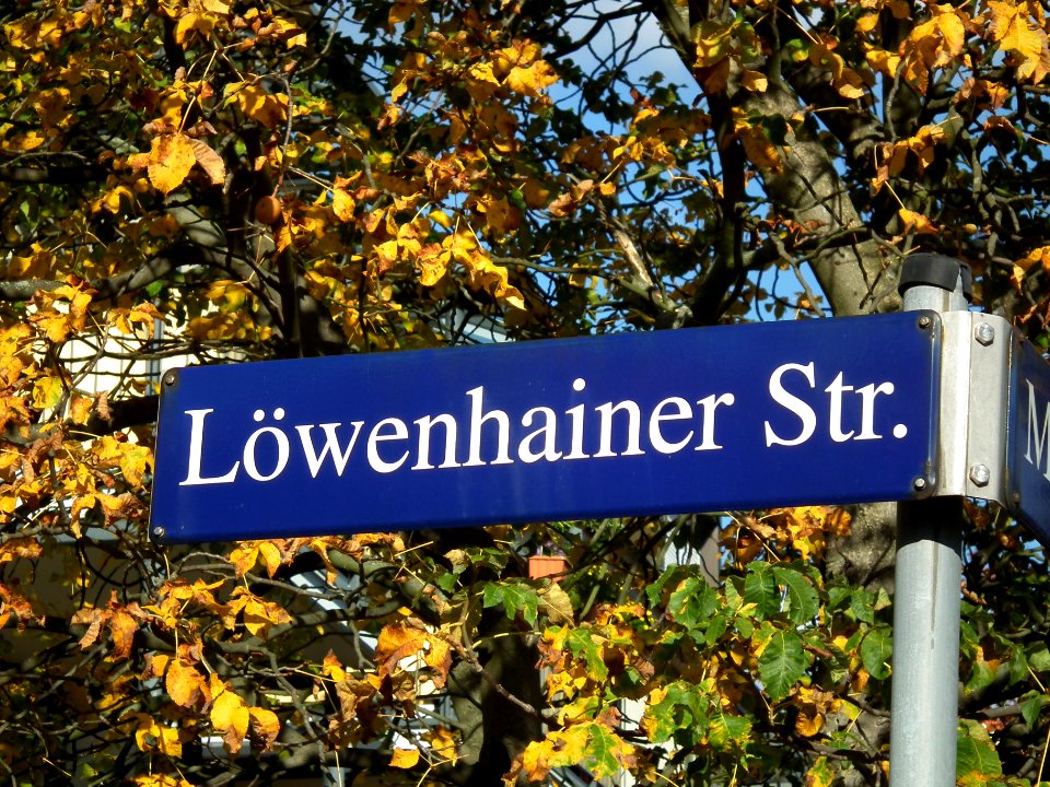 2020-10-24 Löwenhainer Straße, Dresden 03