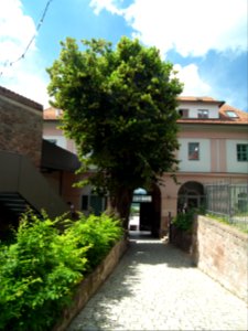 2020-06-26 Leuchtenburg 038