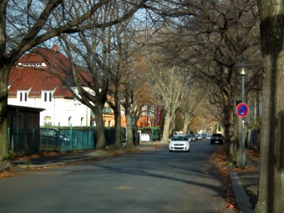 2020-11-21 Robert-Berndt-Straße, Dresden 08