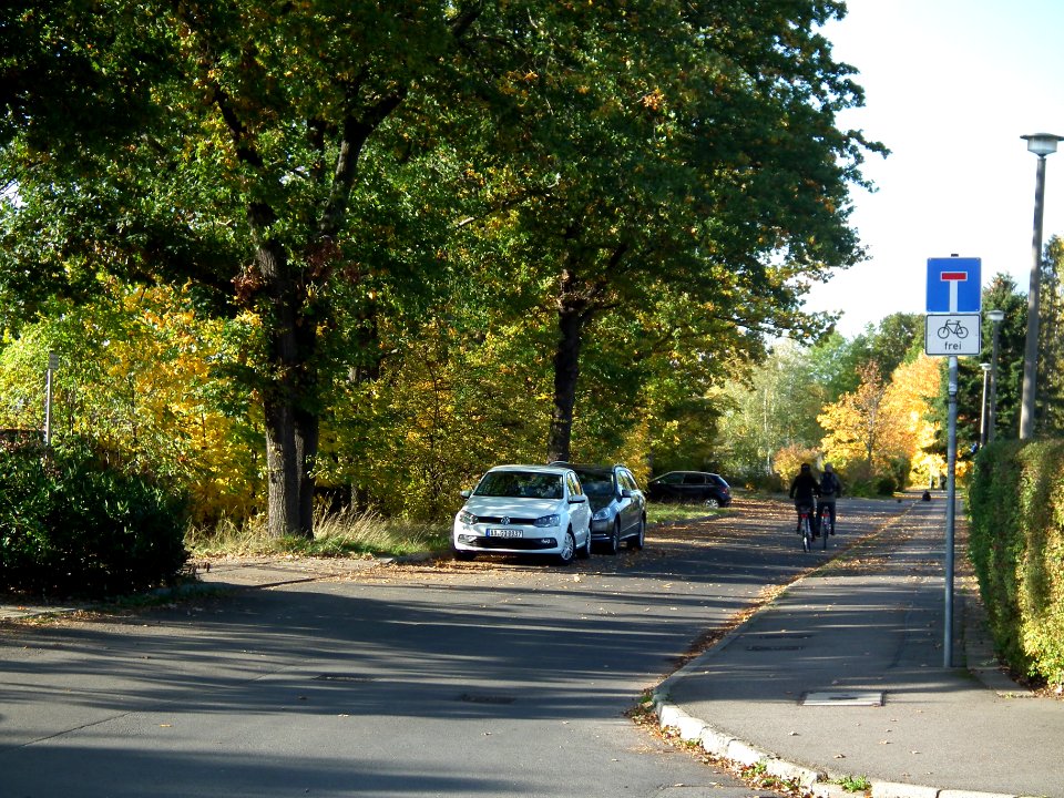 2020-10-24 Dittersdorfer Straße, Dresden 03