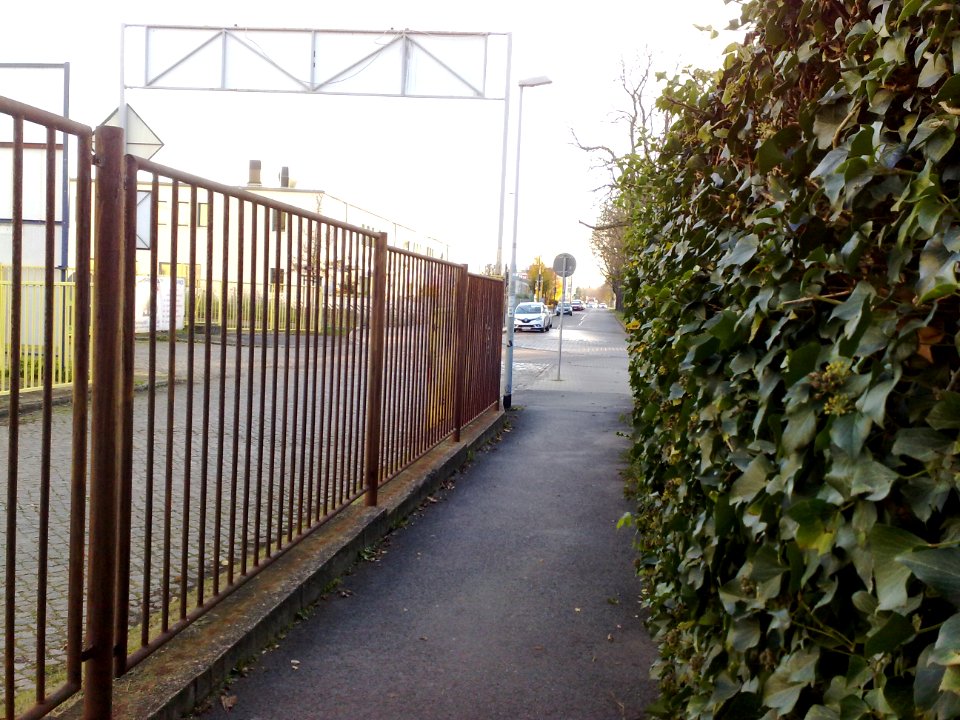 2020-11-07 Spenerstraße, Dresden 01