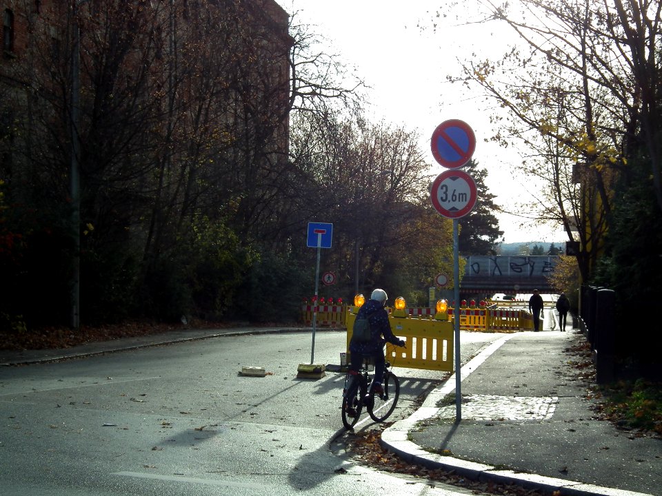 2020-11-21 Reisstraße, Dresden 03