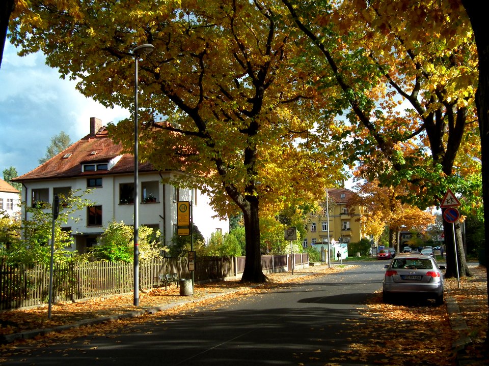 2020-10-24 Kipsdorfer Straße, Dresden 04