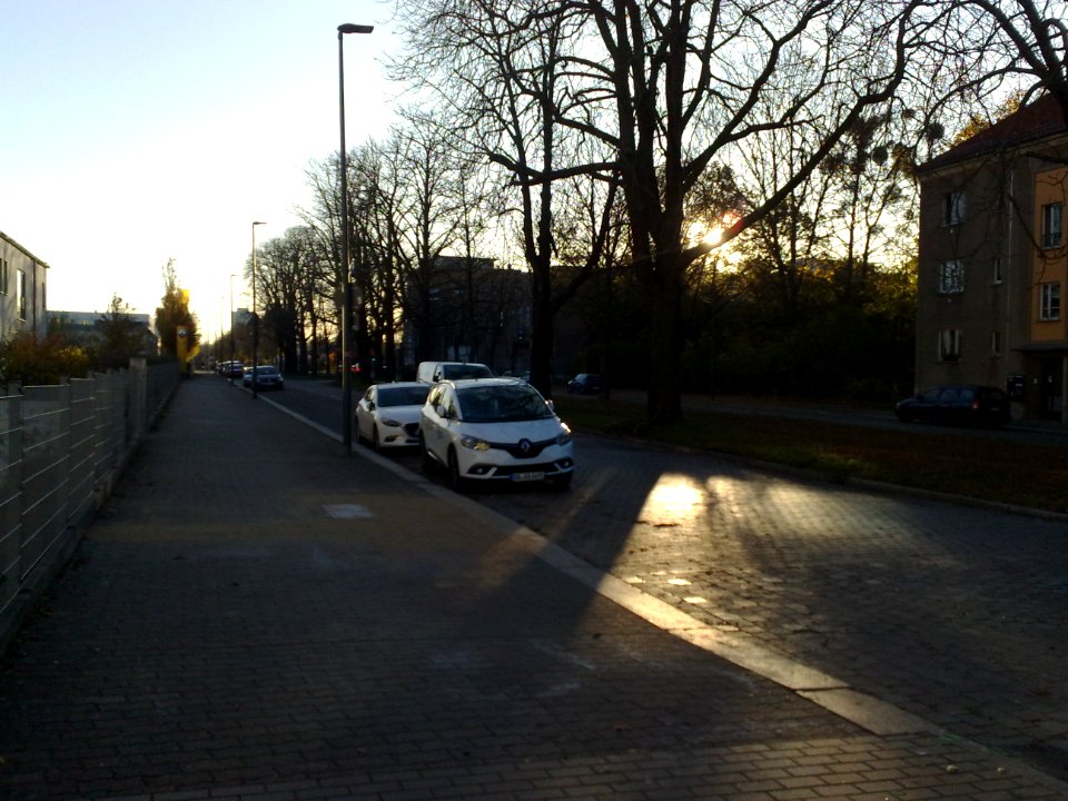 2020-11-07 Spenerstraße, Dresden 05