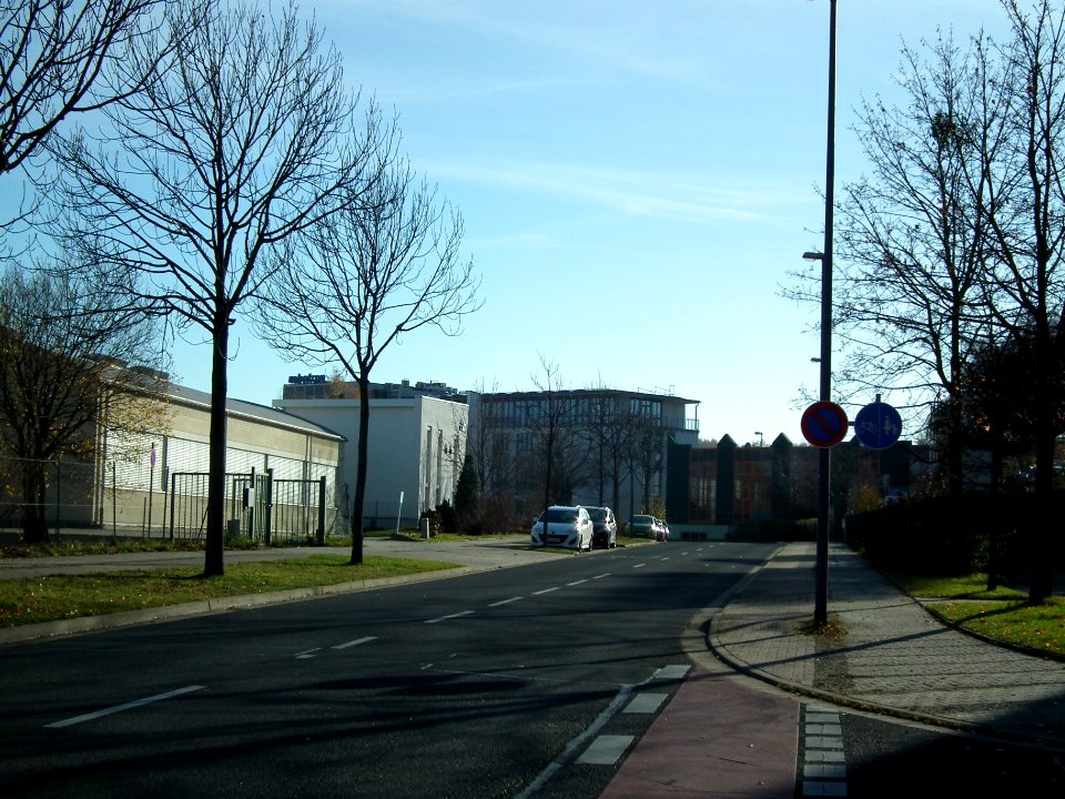 2020-11-24 Heilbronner Straße, Dresden 03