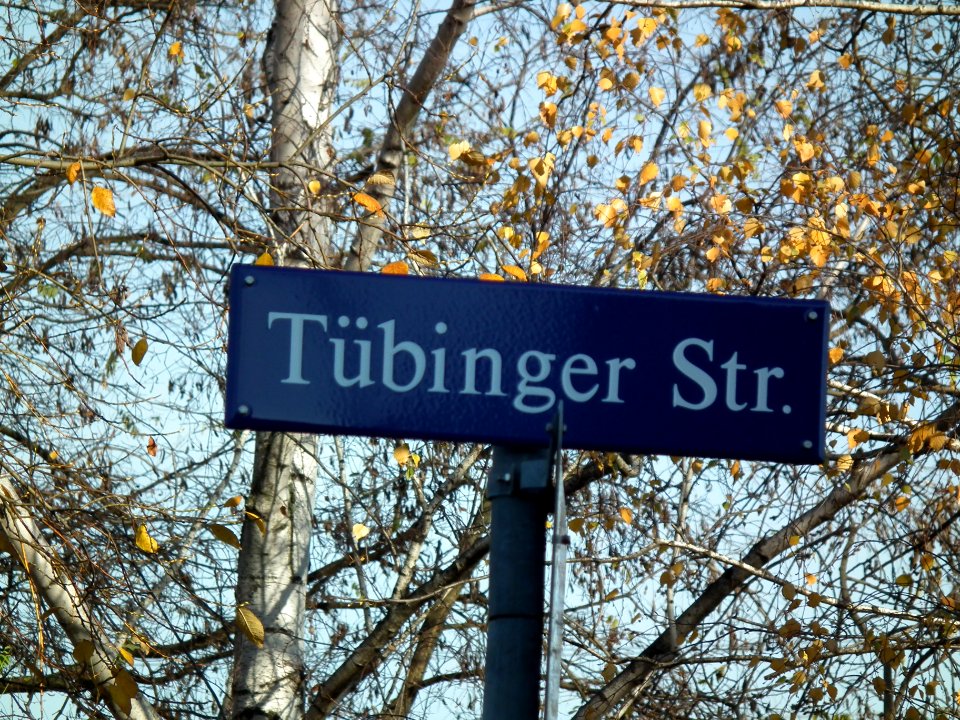 2020-11-24 Tübinger Straße, Dresden 01