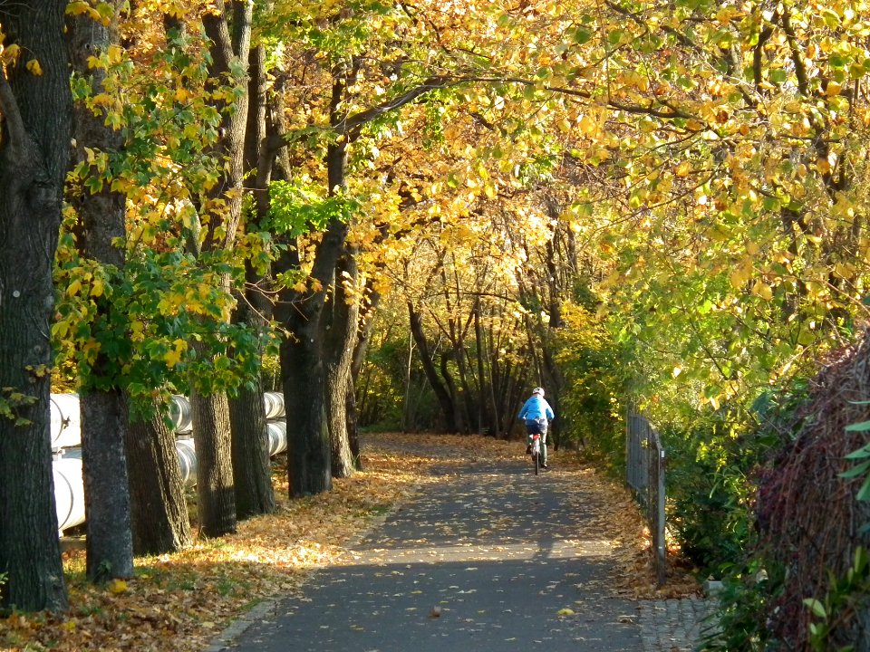 2020-11-05 Seidnitzer Weg, Dresden 04