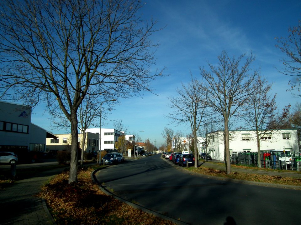2020-11-24 Heidelberger Straße, Dresden 01