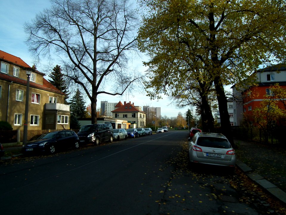 2020-11-18 Kadenstraße, Dresden 14