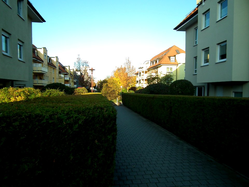 2020-11-05 Augustusbergstraße, Dresden 03