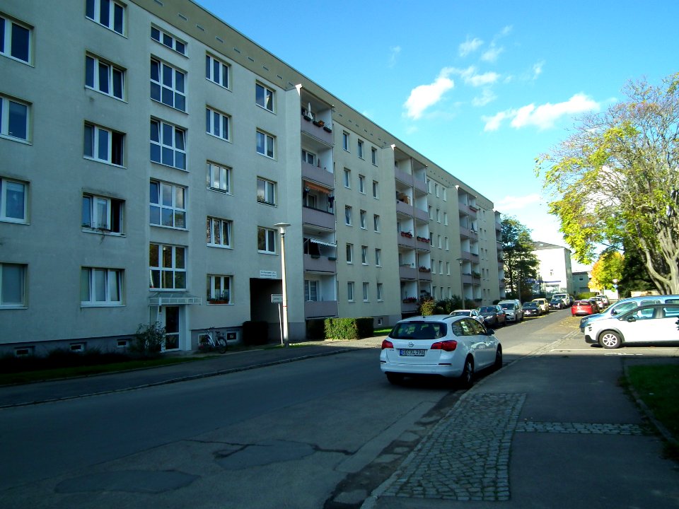 2020-10-24 Schilfweg, Dresden 04