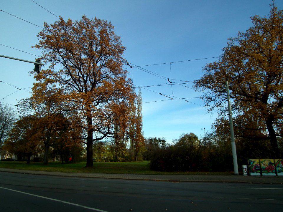 2020-11-21 Stephensonstraße, Dresden 02