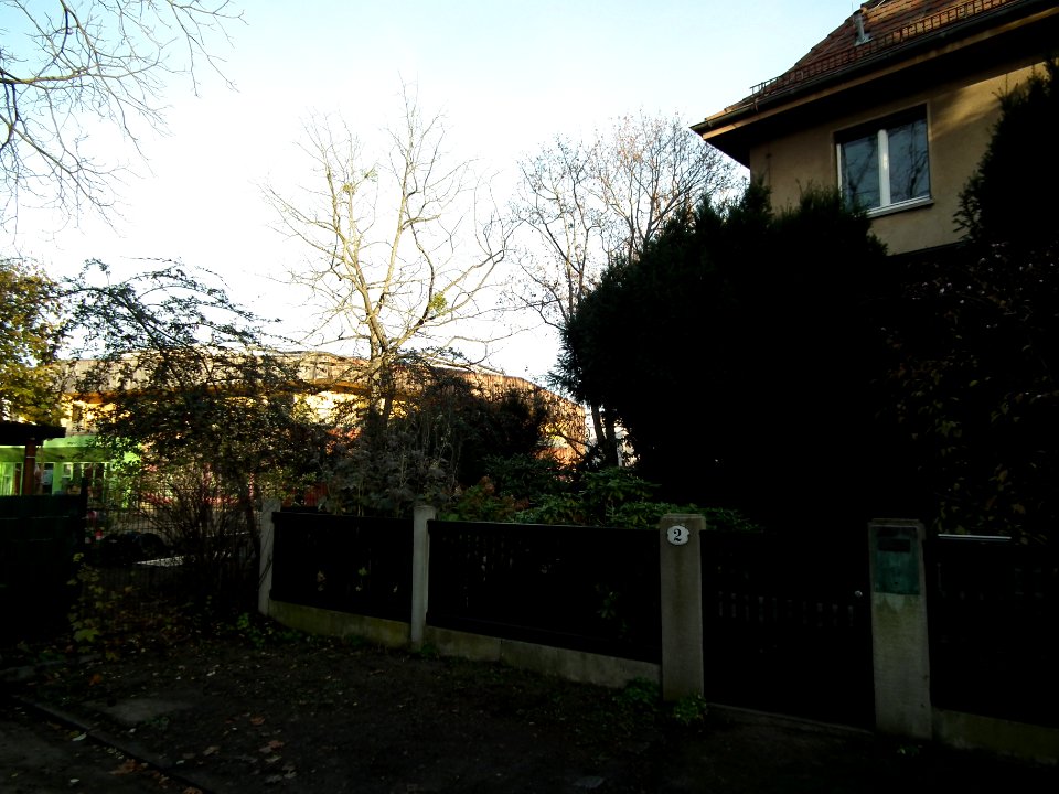 2020-11-14 Brandstraße, Dresden 04