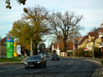 2020-11-18 Breitscheidstraße, Dresden 08