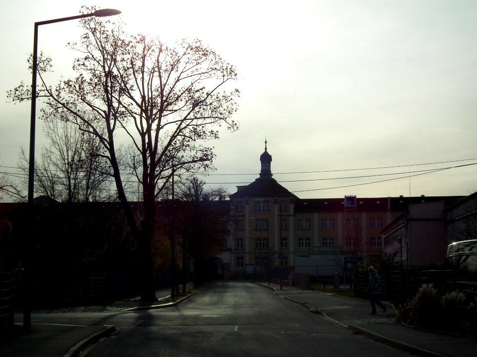 2020-11-21 Siemensstraße, Dresden 07