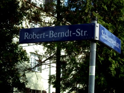 2020-11-21 Robert-Berndt-Straße, Dresden 01