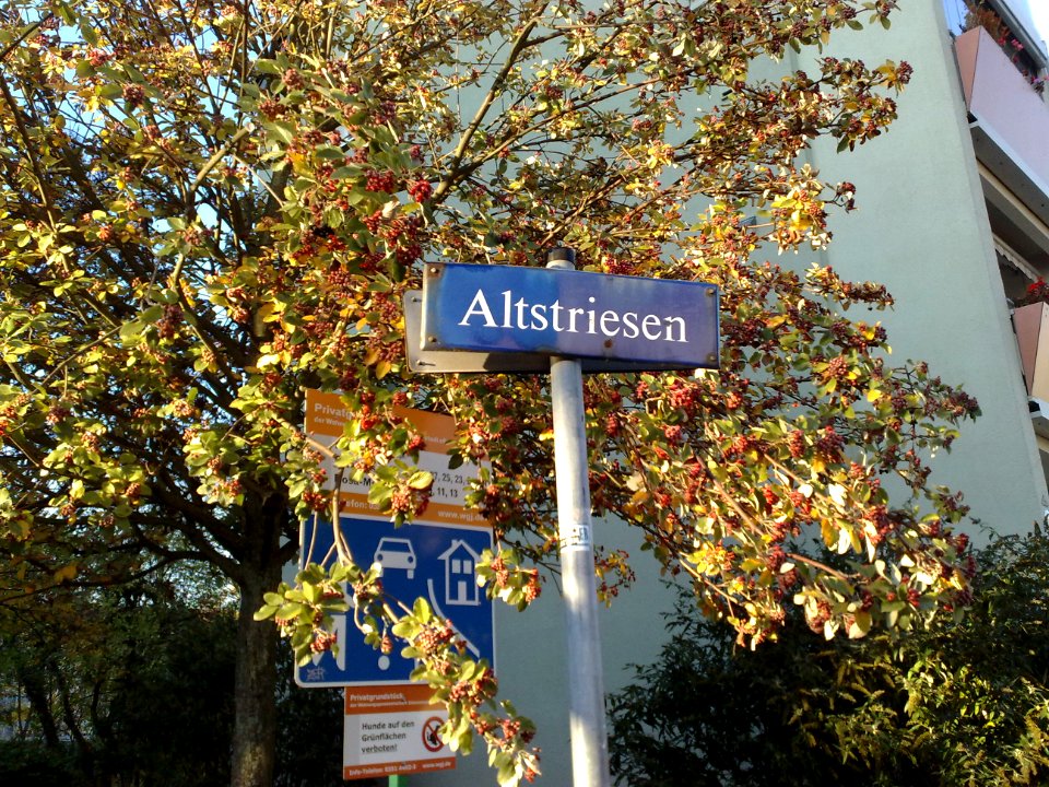 2020-11-07 Altstriesen, Dresden 03