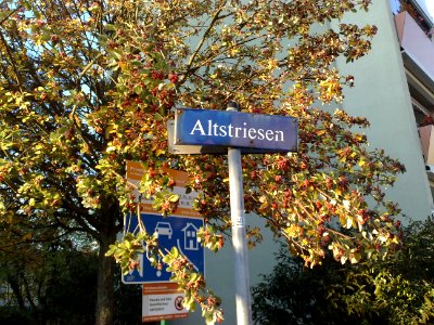 2020-11-07 Altstriesen, Dresden 03