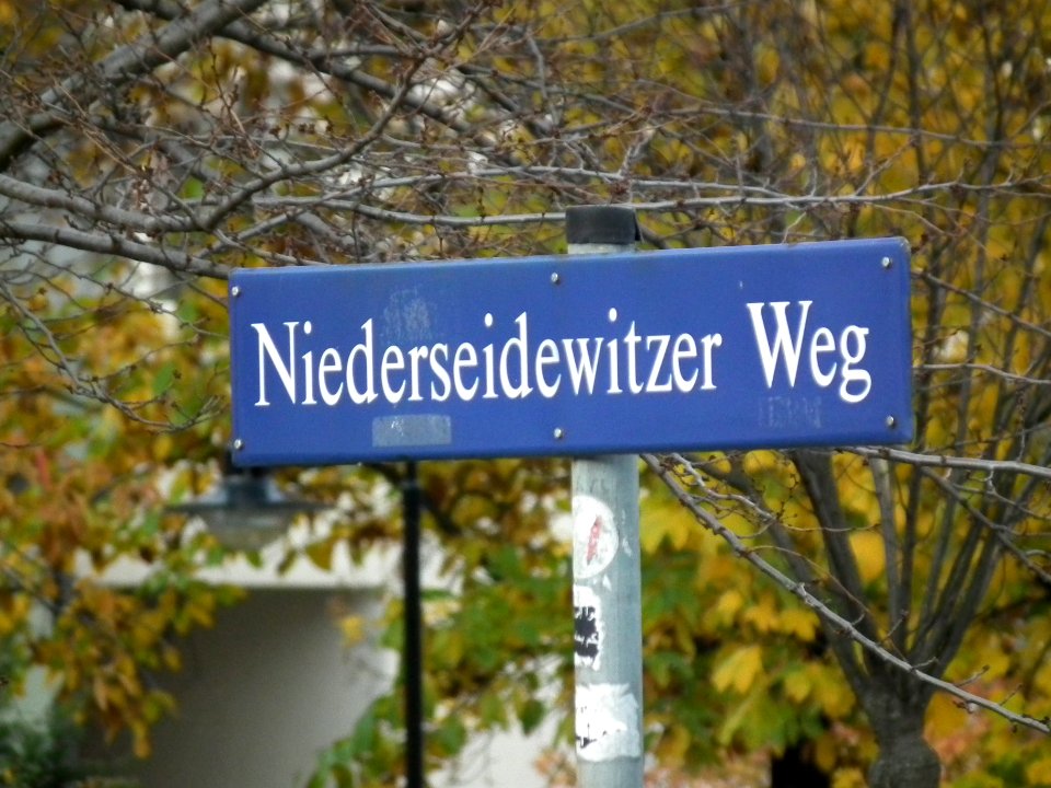 2020-11-18 Niederseidewitzer Weg, Dresden 03