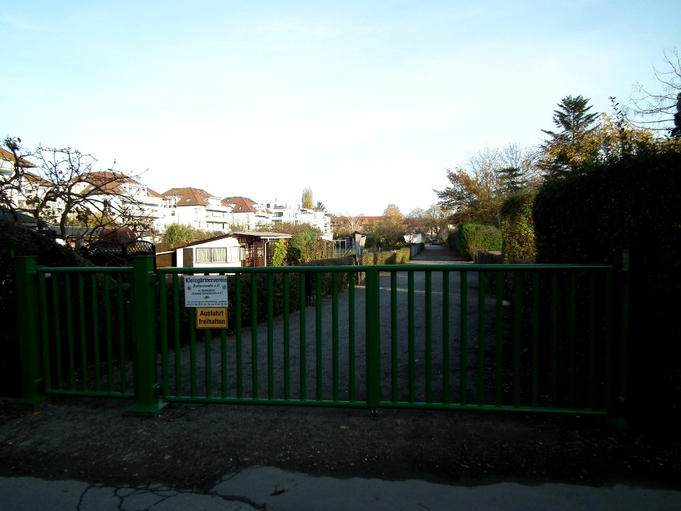 2020-11-14 Geisingstraße, Dresden 01