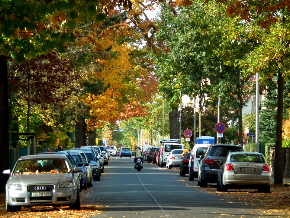 2020-10-24 Kipsdorfer Straße, Dresden 08