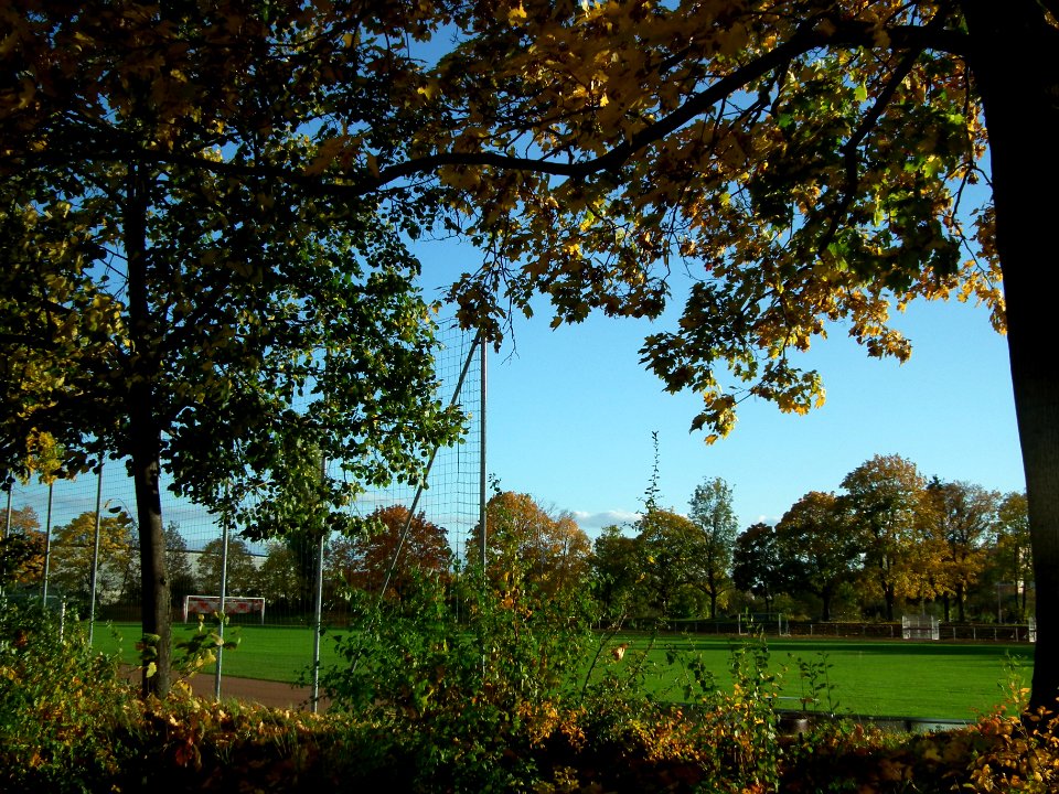 2020-10-24 Sportstätte Bärensteiner Straße, Dresden 09