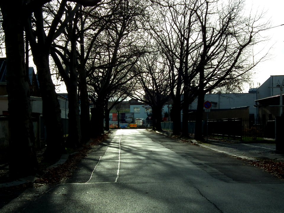 2020-11-21 Robert-Berndt-Straße, Dresden 05