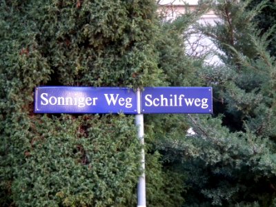 2020-10-24 Sonniger Weg, Dresden 04