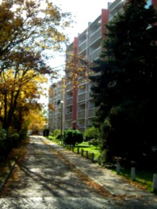 2020-10-24 Liebenauer Straße, Dresden 06
