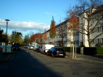 2020-11-05 Gohrischstraße, Dresden 03