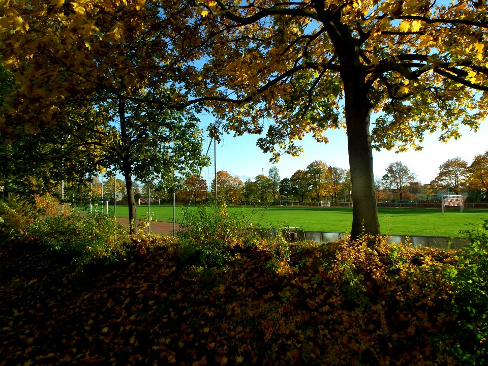 2020-10-24 Sportstätte Bärensteiner Straße, Dresden 11