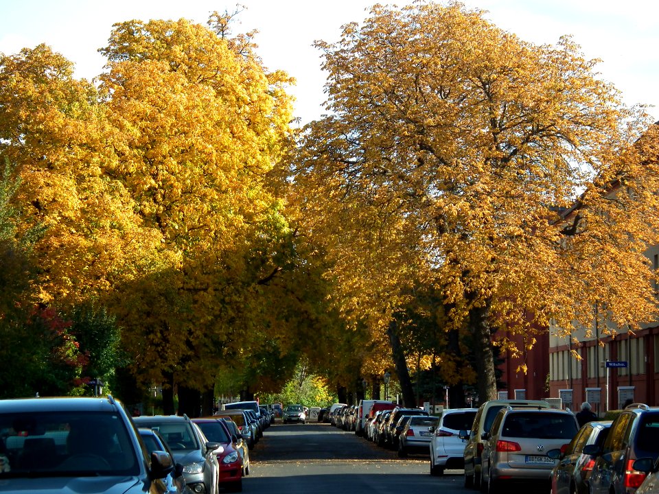 2020-10-24 Schulze-Delitzsch-Straße, Dresden 04