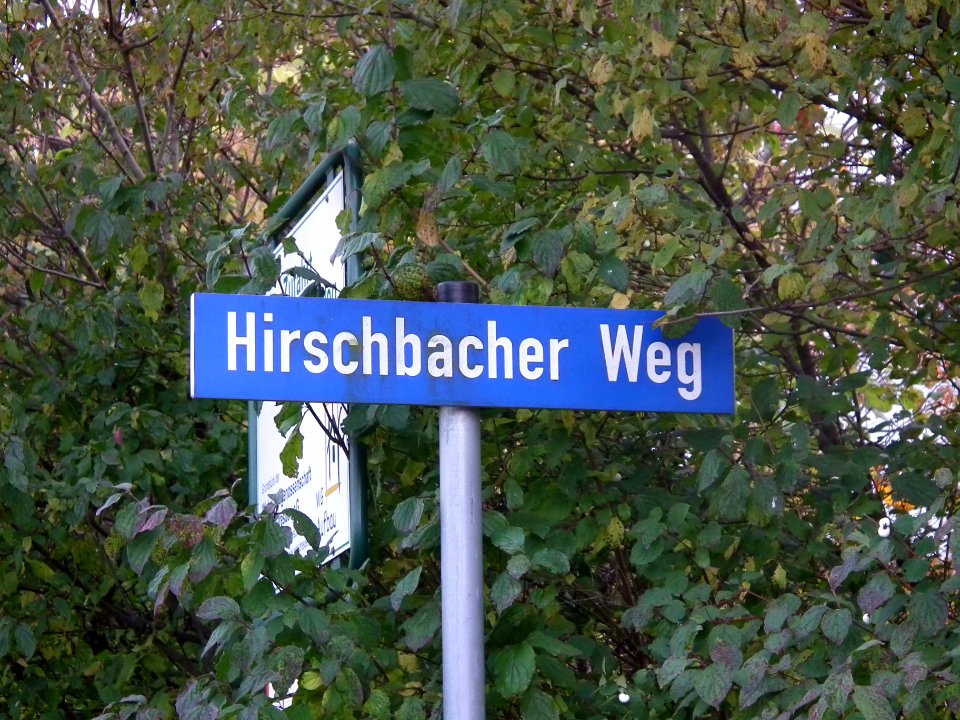 2020-11-04 Hirschbacher Weg, Dresden 01