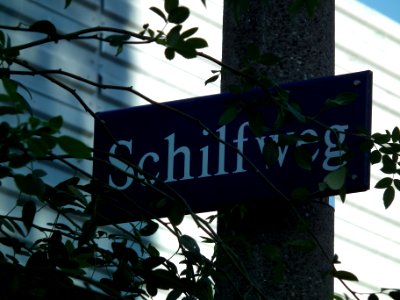 2020-10-24 Schilfweg, Dresden 03