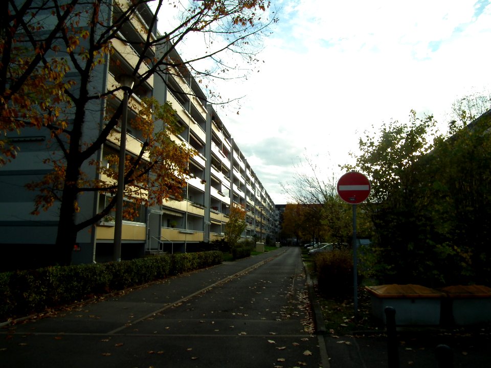 2020-11-04 Ulberndorfer Weg, Dresden 02