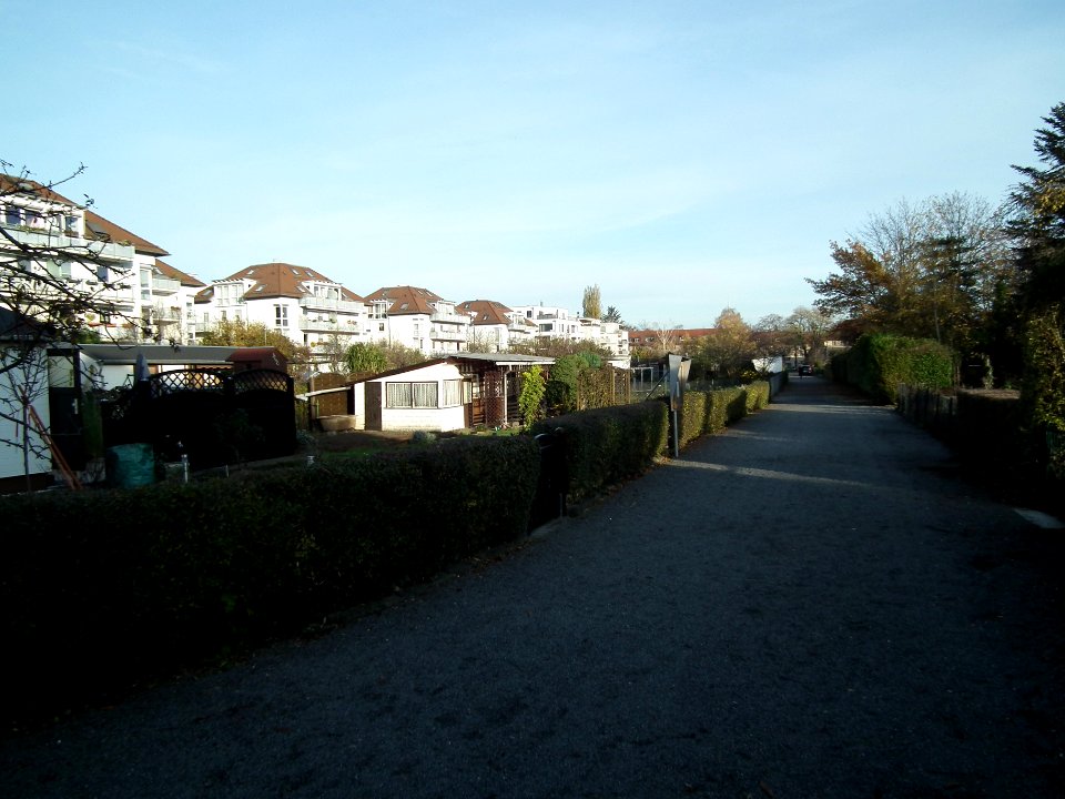 2020-11-14 Geisingstraße, Dresden 02
