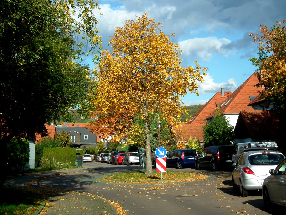 2020-10-24 Lengefelder Straße, Dresden 04