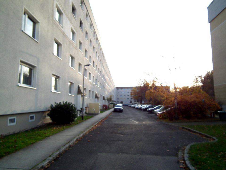 2020-11-18 Großsedlitzer Weg, Dresden 03
