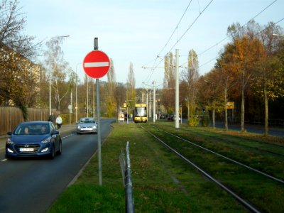 2020-11-18 Moränenende, Dresden 05