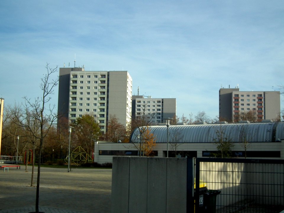 2020-11-18 Dobritzer Weg, Dresden 05