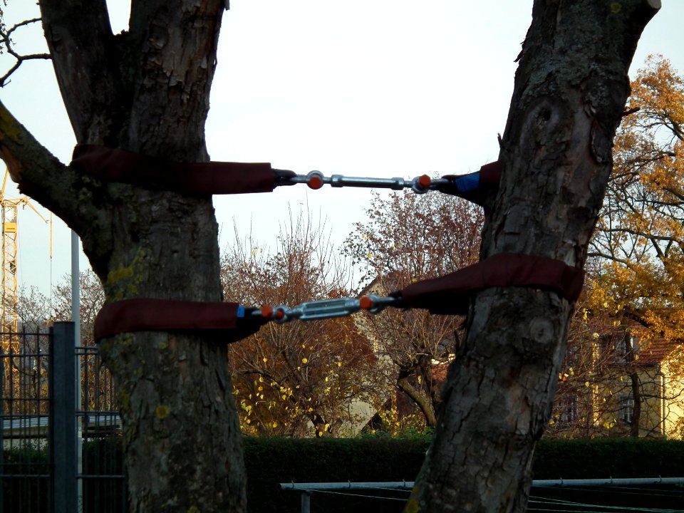 2020-11-18 Kadenstraße, Dresden 04