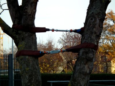 2020-11-18 Kadenstraße, Dresden 04