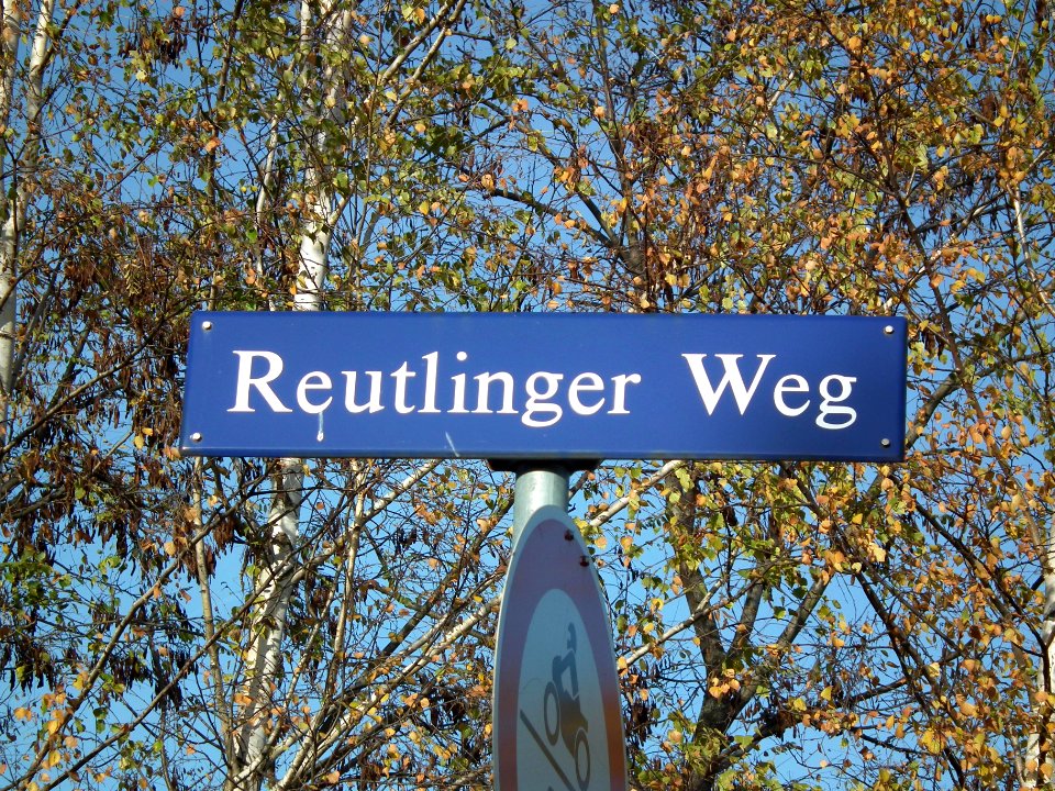 2020-11-13 Reutlinger Weg, Dresden 01