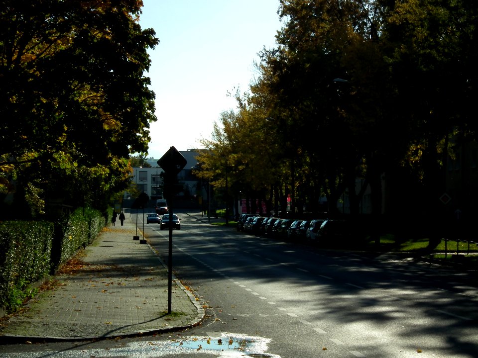 2020-10-24 Rennplatzstraße, Dresden 03