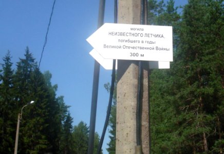 Зеленогорск СПб. Дорога на Городок. Указатель к неизвестному лётчику