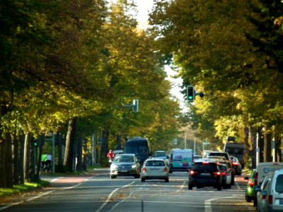 2020-10-24 Winterbergstraße, Dresden 03