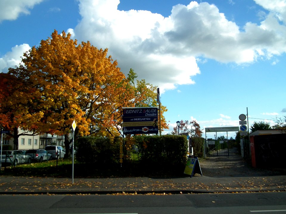2020-10-24 Striesener Weg, Dresden 03